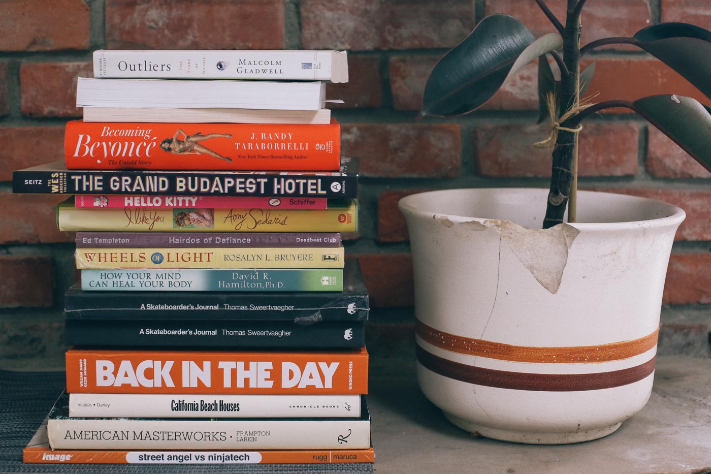 Lizzie's book collection