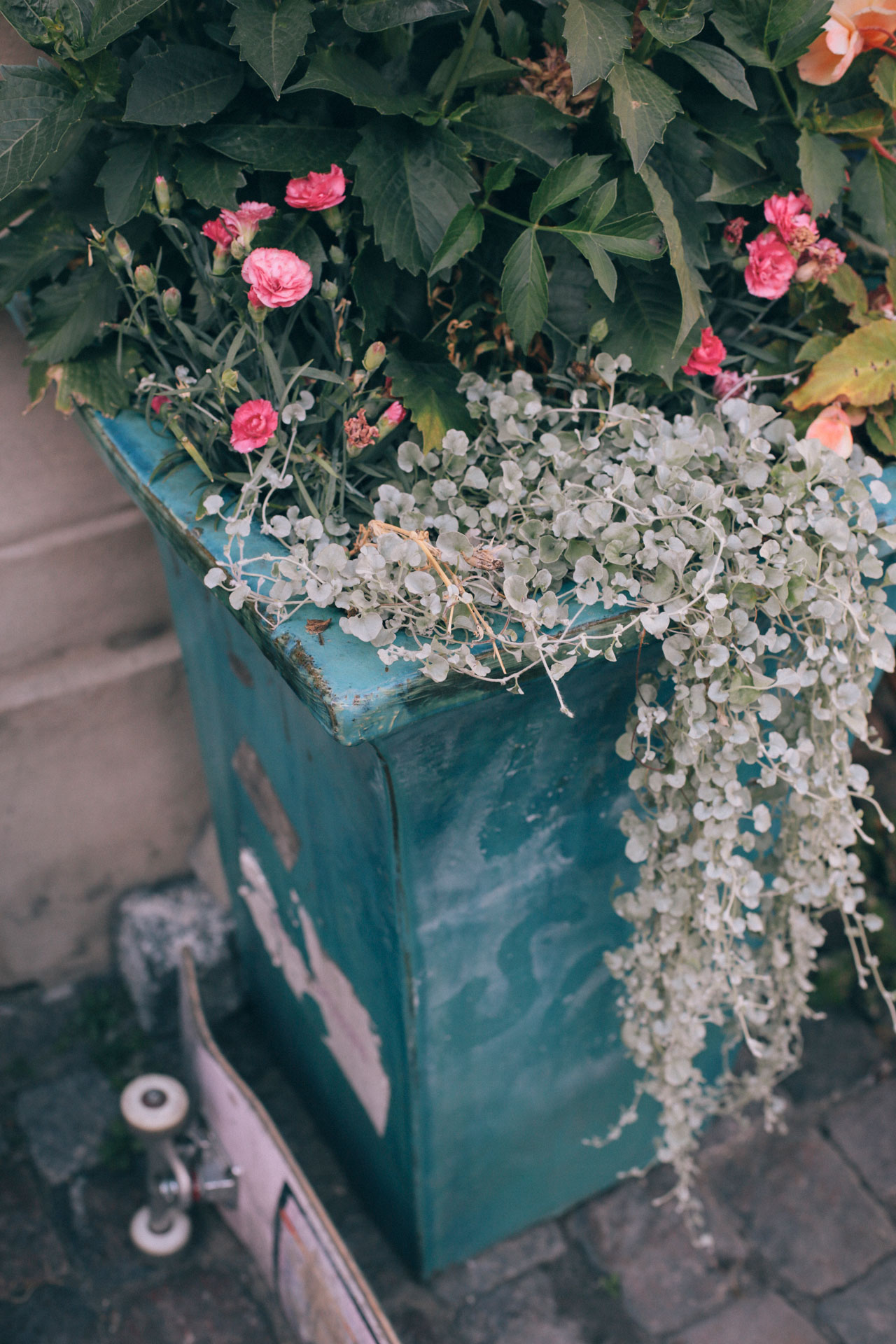 All The Pretty Things. Photo: Sarah Huston