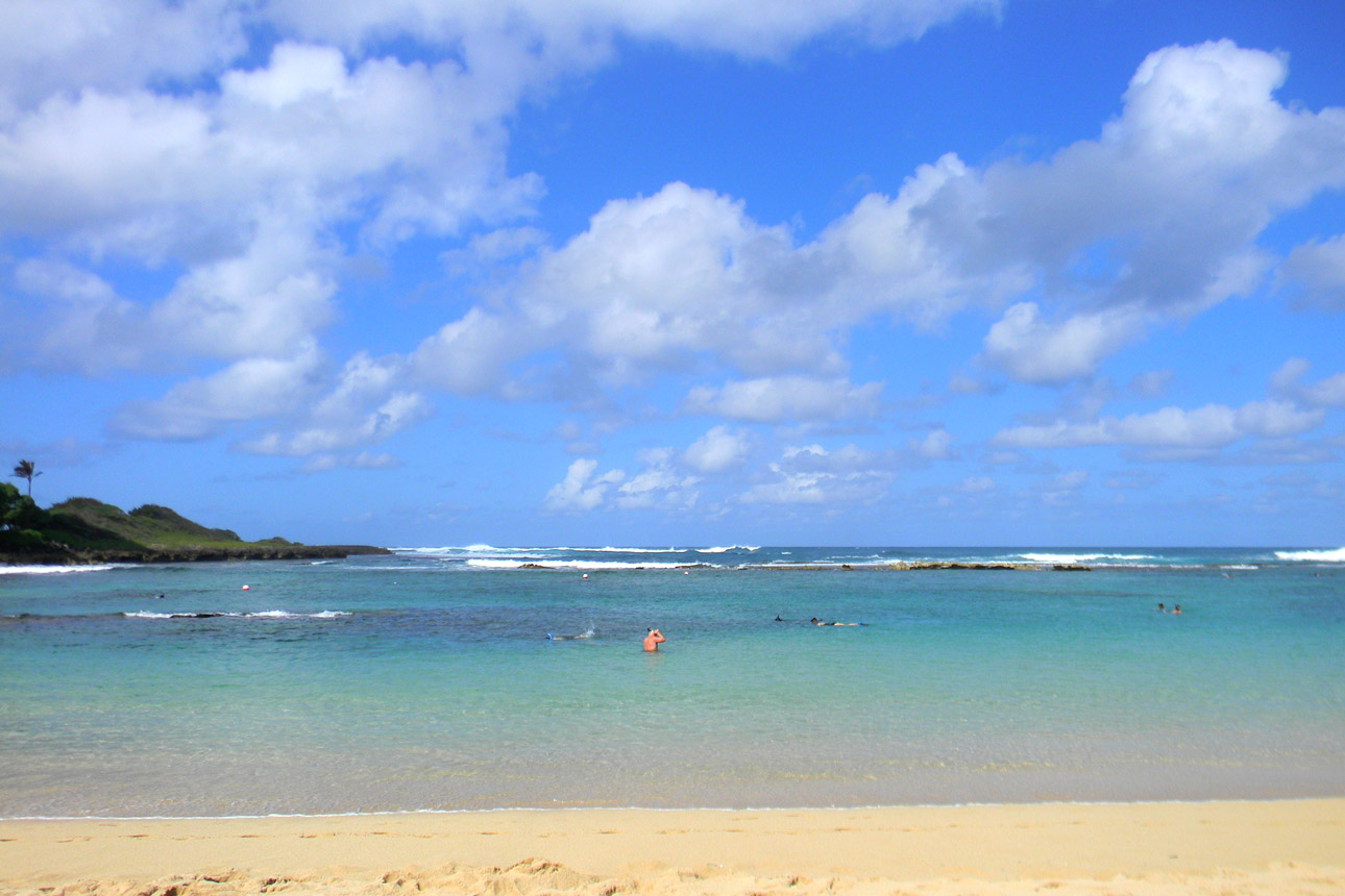 Turtle Bay Beach