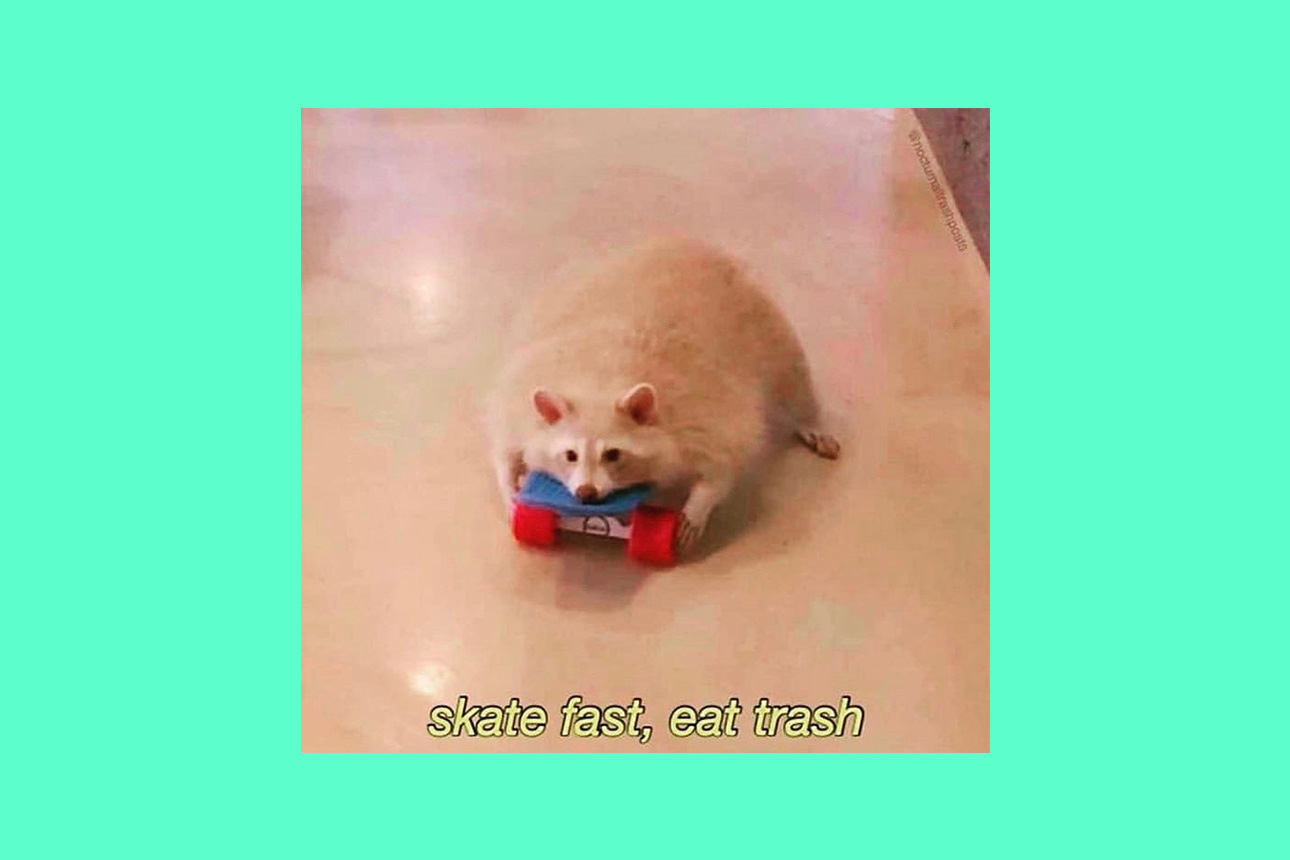 Alex White Meme Queen Interview